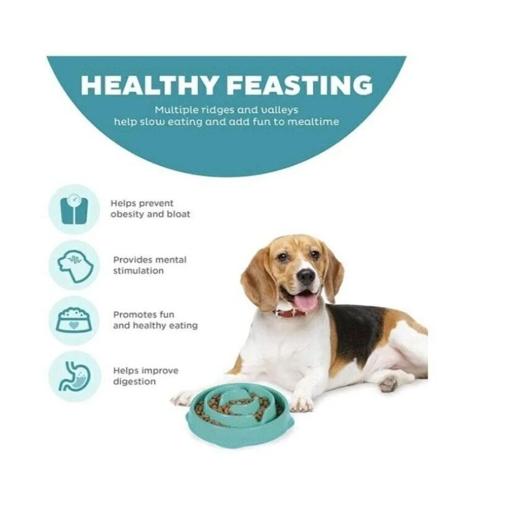Outward‎ Hound Fun Slow Feeder Dog Bowl Medium Turquoise and Metal water bowl